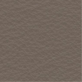 Leather_ 9166 Tech