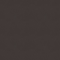 Leather_ 9122 Testa di Moro