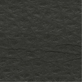 Leather_ 9111 Antracite