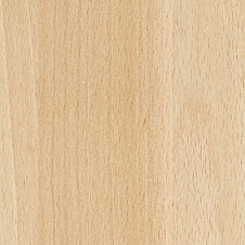 Light natural beech 