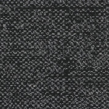 Chartres_ Cat C_ Sooty 2690