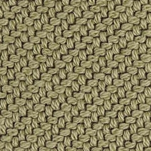 Coda_ Cat G_ 7558 Amande