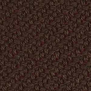 Coda_ Cat G_ 7561 Chataigne