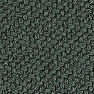 Coda_ Cat G_ 7569 Etang