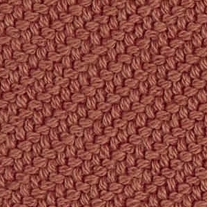 Coda_ Cat G_ 7565 Saumon