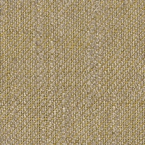 Cat. C_ Penny - 6726 Lichene