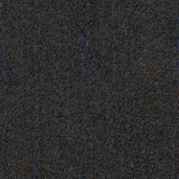 Vilo_ Cat C_ Loutre 2762