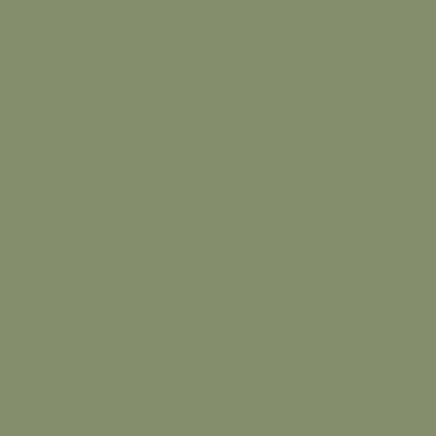 Verde X116/ Verniciato opaco verde 