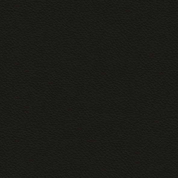 Öko-Leder_ ECP30 Piombo