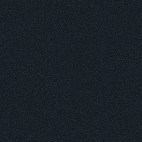 Öko-Leder_ ECP22 Navy