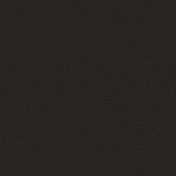 Leder_ 891 Testa di moro