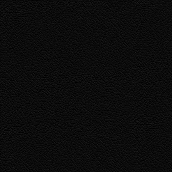 Leder_ 973 Nero