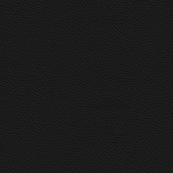 Leder_ 956 Atlantico