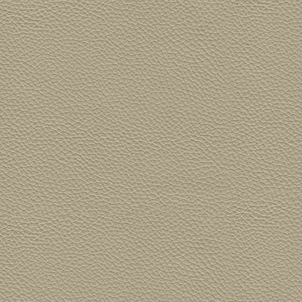Ecoleather_ ECP47 Oyster