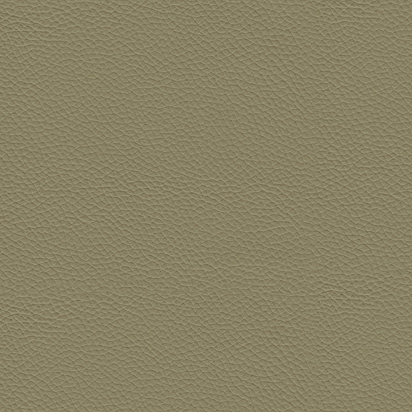 Ecoleather_ ECP25 Canapa