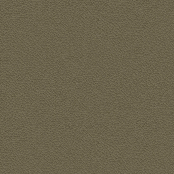 Ecoleather_ ECP05 Tortora