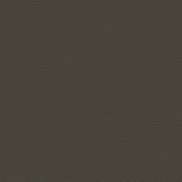 Ecoleather_ ECP26 Fango