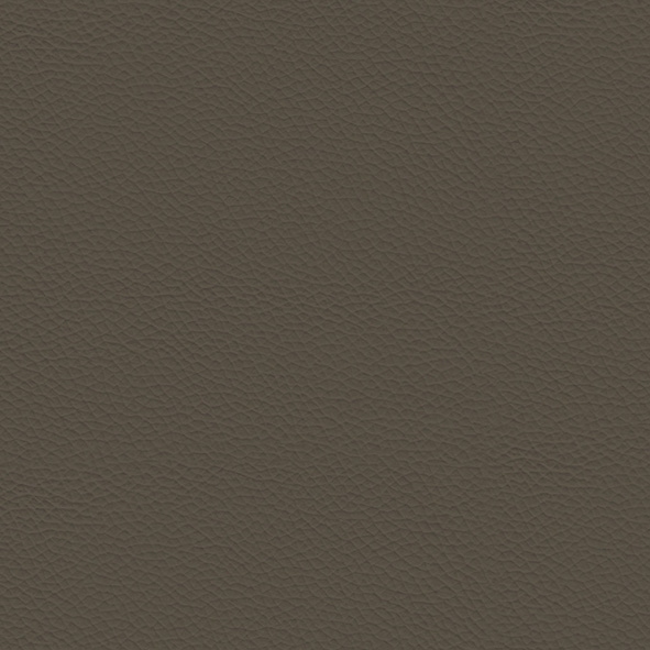 Ecoleather_ ECP83 Argilla
