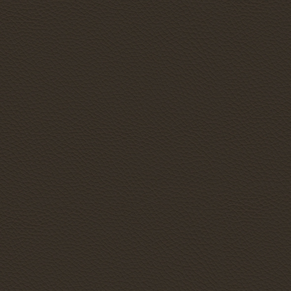 Ecoleather_ ECP07 Marrone