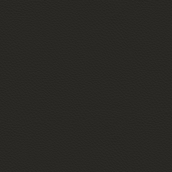 Ecoleather_ ECP37 Ardesia