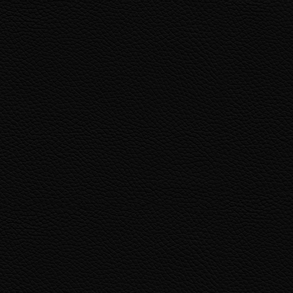 Ecoleather_ ECP24 Nero