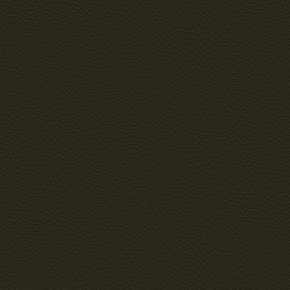 Ecoleather_ ECP28 Kalamata