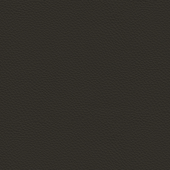 Ecoleather_ ECP27 Fossil