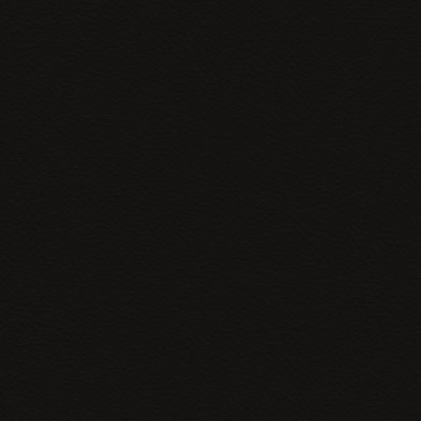 Ecoleather_ ECP08 Moka