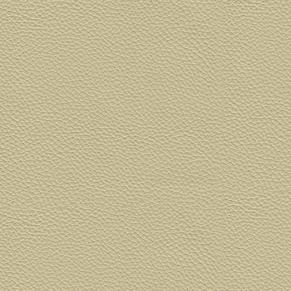 Leather_ 961 Latte