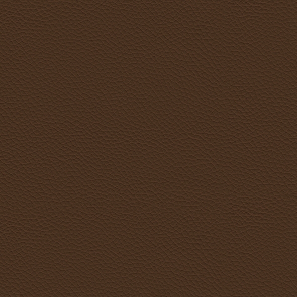 Leather_ 981 Biscotto