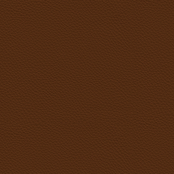 Leather_ 982 Cognac