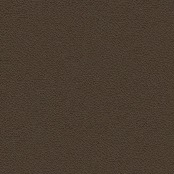 Leather_ 951 Castoro