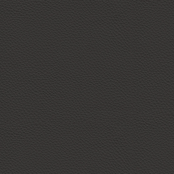 Leather_ 983 Argilla