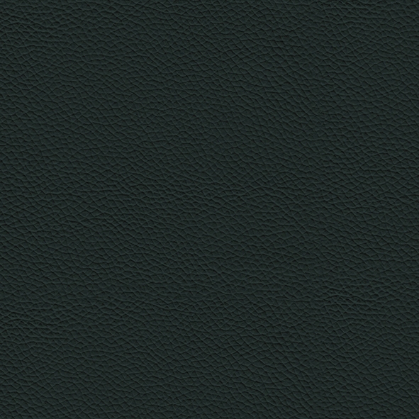 Leather_ 980 Ottanio