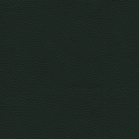 Leather_ 987 Sherwood