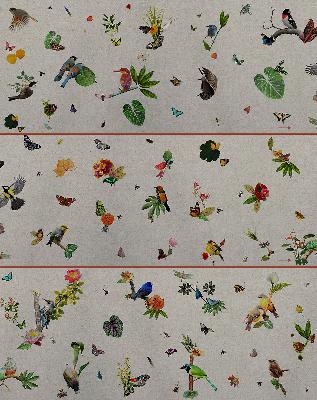 A6761 - Birds - cat. S