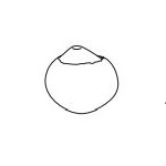 EMANB35_ 50 x 50 x H 35 cm (Beige)