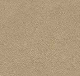 Cat. Luxury_ Cuir_ Lanilina 4307 Pomice