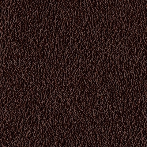 Nature_ 04 Testa di moro