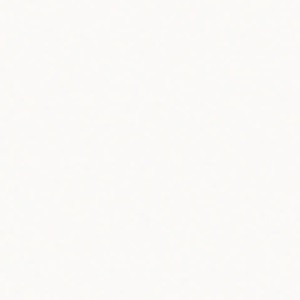 Geschlossenporige Lackierung_ Pure White RAL 9010