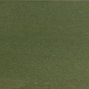 Asche gebeizt_ Olive green as RAL 6003