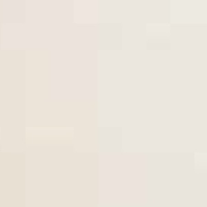 Asche gebeizt_ White pigmented lacquer TP 200