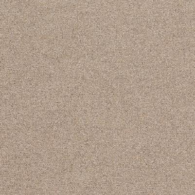 A5858 - Divina MD 413 ecrù - cat. W