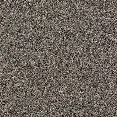 A5861 - Divina MD 343 grigio - cat. W