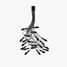 Turciù 21_ 16 flex Ø 0.85 x 150 cm + 5 flex Ø 0.85 x 100 cm