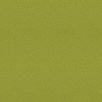 Colori Standard_ FR lime green