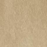 cat. A+_ Tuscany Selvena