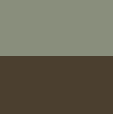 grigio verde - marrone