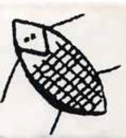 MATTONELLE CON SCARABEO_1