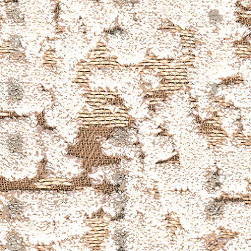 Cat.S (Special)_Salix 01